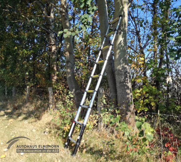 Pickup Teleskoprampe - Wildbergung